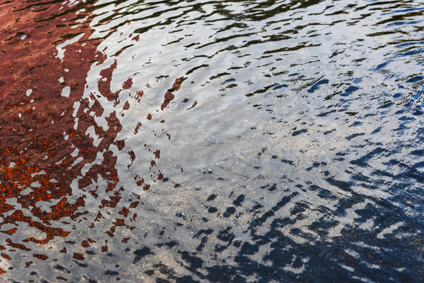 Ulewne deszcze powodują podtopienia w Myszkowie – poziom wody na potoku Leśniówka osiąga stan krytyczny