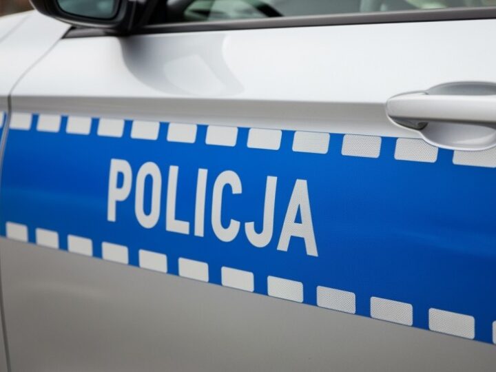 Syn znęcał się nad matką, aresztowany na trzy miesiące
