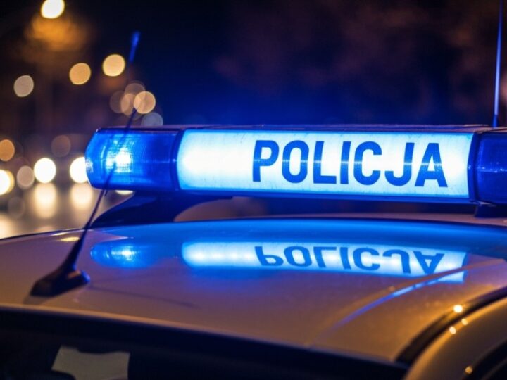 Bracia aresztowani za brutalną przemoc wobec rodziny