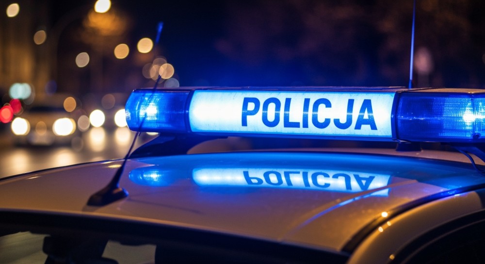 Bracia aresztowani za brutalną przemoc wobec rodziny