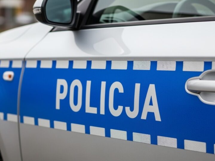 Policja i Straż Graniczna wspólnie ścigają osoby poszukiwane w Polsce