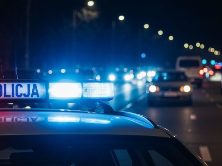 Trzy osoby poszukiwane zatrzymane w jednym dniu przez policję i Straż Graniczną