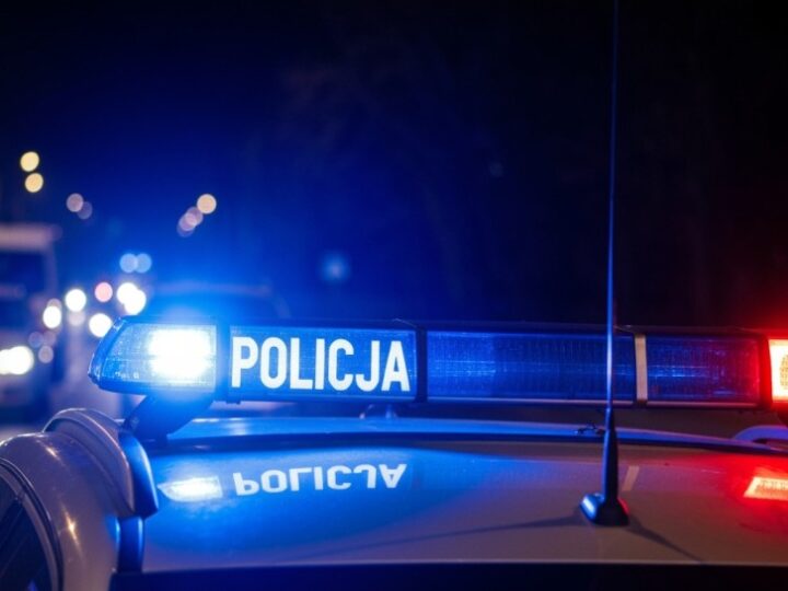 Wybierz legalne choinki, uniknij kłopotów!