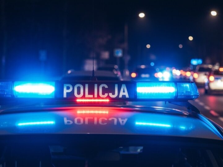 Syn w areszcie za znęcanie się nad matką