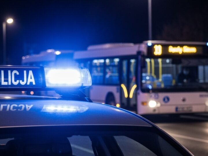 Interwencja policji ujawnia serię przestępstw w Żarkach