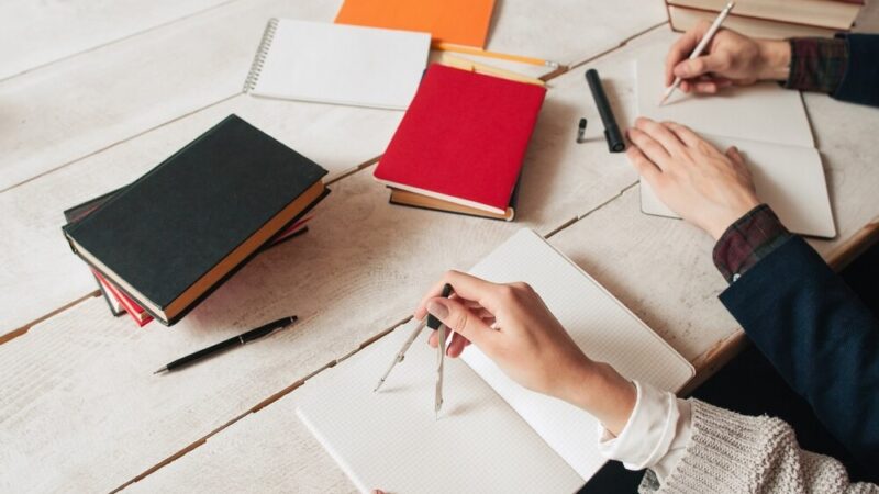 Zimowe skarby natury: odkryj lecznicze rośliny ukryte pod śniegiem!