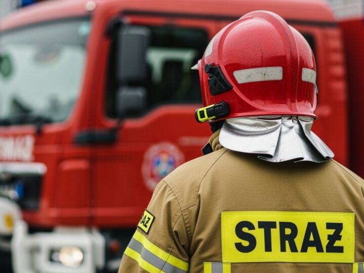 Wypalanie traw to przestępstwo! Działaj, zanim będzie za późno!