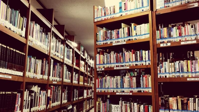 Zaczytani pod Księżycem: Młodzieżowe pasje literackie w Jastrzębiu