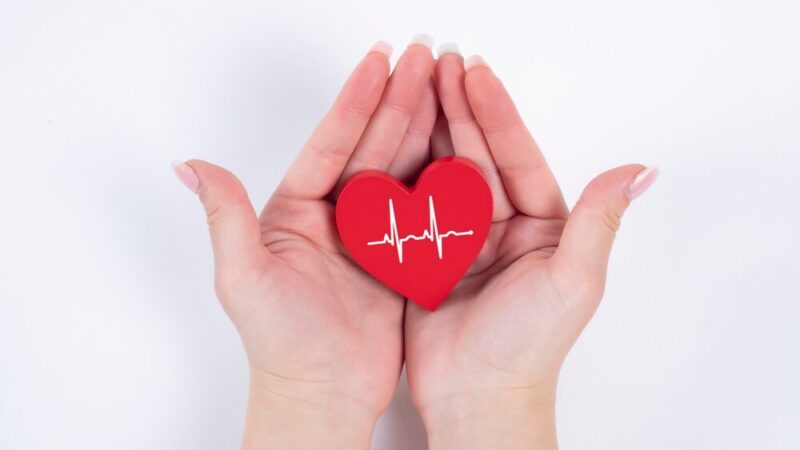 Wiosenne smaki zdrowia: odkryj świeże warzywa na swoim talerzu!