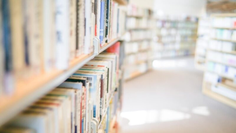Zakończ rok szkolny na rycersko i rozpocznij wakacje z biblioteką!